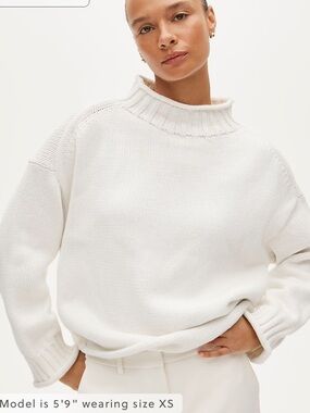 J Crew 2025 Rollneck™ sweater